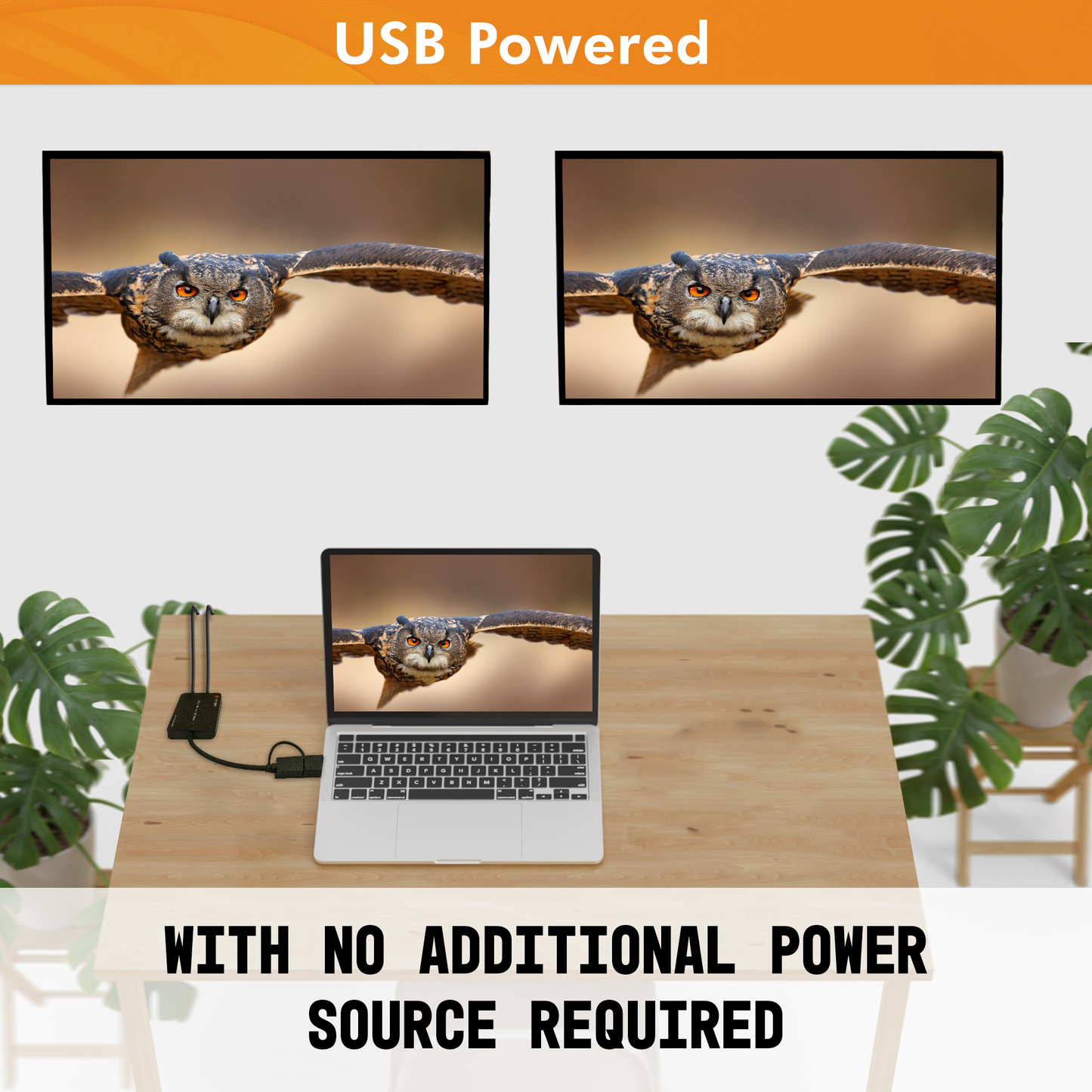 USB Type A/C to Dual HDMI 4K 30Hz & 1080P 60Hz Display Adapter